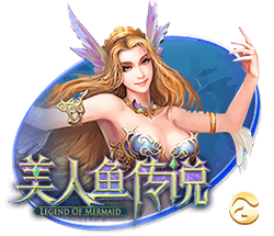 aa视频单机版